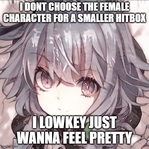 idk | I DONT CHOOSE THE FEMALE CHARACTER FOR A SMALLER HITBOX; I LOWKEY JUST WANNA FEEL PRETTY | image tagged in funny | made w/ Imgflip meme maker