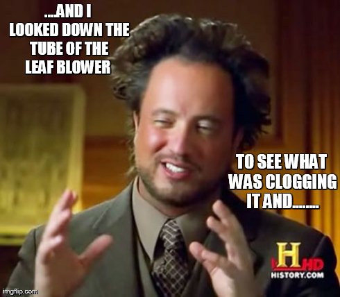 Ancient Aliens | ....AND I LOOKED DOWN THE TUBE OF THE LEAF BLOWER  TO SEE WHAT WAS CLOGGING IT AND........ | image tagged in memes,ancient aliens | made w/ Imgflip meme maker