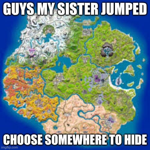 I'll post another one to show u where to hide | GUYS MY SISTER JUMPED; CHOOSE SOMEWHERE TO HIDE | image tagged in funny | made w/ Imgflip meme maker