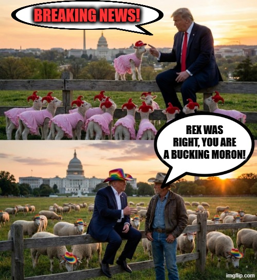 BREAKING NEWS! | BREAKING NEWS! REX WAS RIGHT, YOU ARE A BUCKING MORON! | image tagged in trump,maga,breaking news,cowboy wisdom,cowboy father and son,moron | made w/ Imgflip meme maker