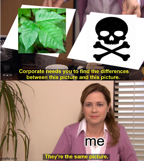 They're The Same Picture | me | image tagged in memes,they're the same picture | made w/ Imgflip meme maker