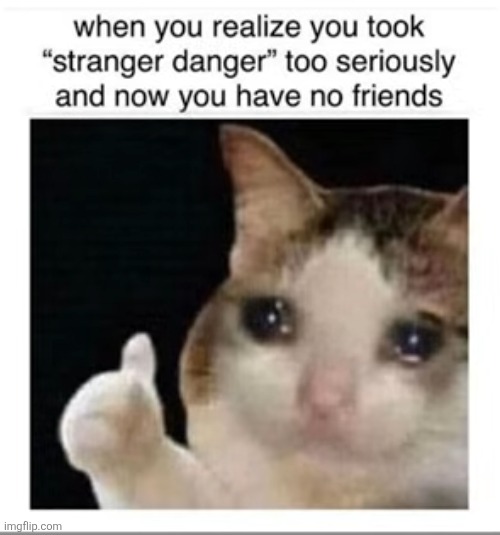image tagged in stranger danger,strangers,cat,sad,friends,mistake | made w/ Imgflip meme maker