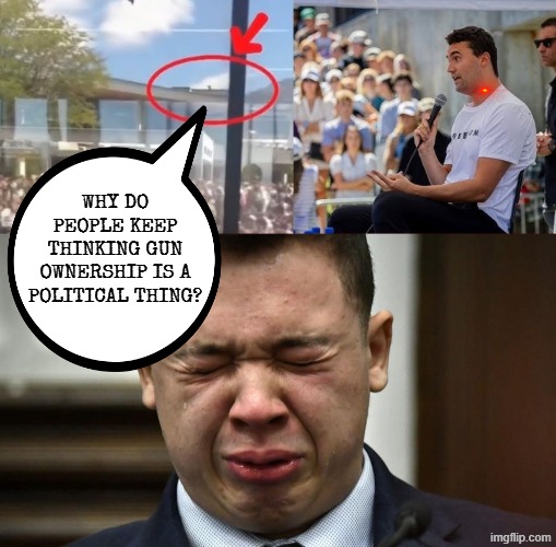 2ND AMENDMENT FOR ALL | WHY DO PEOPLE KEEP THINKING GUN OWNERSHIP IS A POLITICAL THING? | image tagged in 2nd amendment,constitution,guns,prove me wrong,kyle rittenhouse,charlie kirk | made w/ Imgflip meme maker