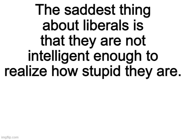 Sad | The saddest thing about liberals is that they are not intelligent enough to realize how stupid they are. | image tagged in memes,funny,liberals,politics,political meme | made w/ Imgflip meme maker
