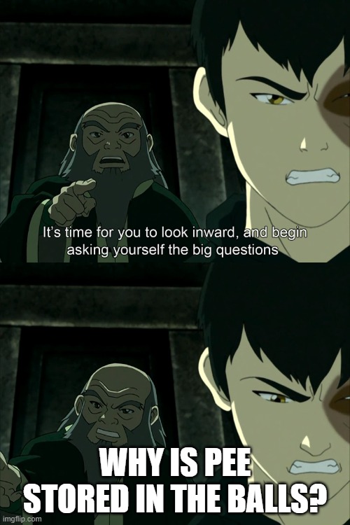 talking to myself be like | WHY IS PEE STORED IN THE BALLS? | image tagged in it's time to start asking yourself the big questions meme | made w/ Imgflip meme maker