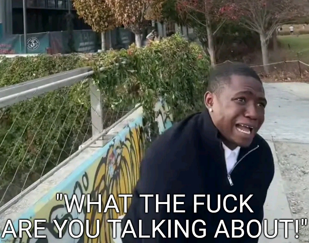 "WHAT THE FUCK ARE YOU TALKING ABOUT!" | made w/ Imgflip meme maker