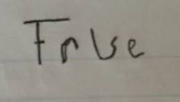 True or False? Blank Meme Template