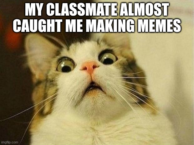 Scared Cat Meme | MY CLASSMATE ALMOST CAUGHT ME MAKING MEMES | image tagged in memes,scared cat | made w/ Imgflip meme maker