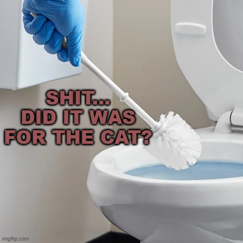 SHIT... DID IT WAS FOR THE CAT? | made w/ Imgflip meme maker