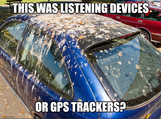 Bird ...droppings | THIS WAS LISTENING DEVICES OR GPS TRACKERS? | image tagged in bird droppings | made w/ Imgflip meme maker