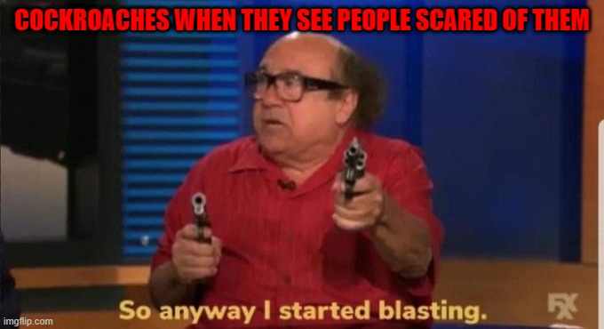 Started blasting | COCKROACHES WHEN THEY SEE PEOPLE SCARED OF THEM | image tagged in started blasting | made w/ Imgflip meme maker