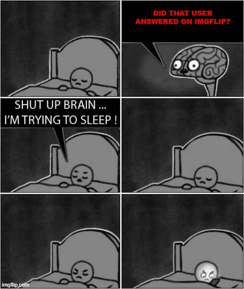 shut up brain, i'm trying to sleep | DID THAT USER ANSWERED ON IMGFLIP? | image tagged in shut up brain i'm trying to sleep | made w/ Imgflip meme maker