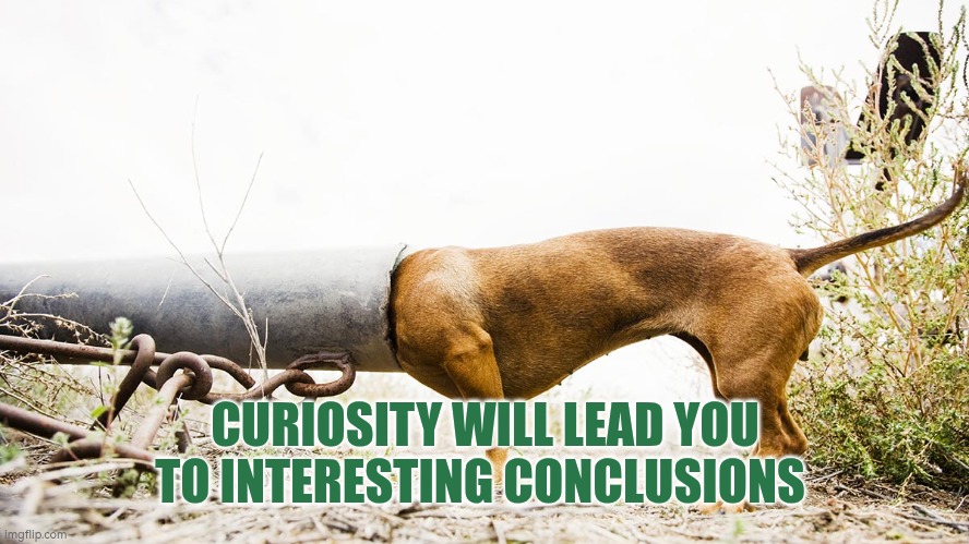 Curiosity will lead you interesting conclusions | CURIOSITY WILL LEAD YOU TO INTERESTING CONCLUSIONS | image tagged in curiosity is learning,autism,curiosity,problem solving,innovation,interesting | made w/ Imgflip meme maker
