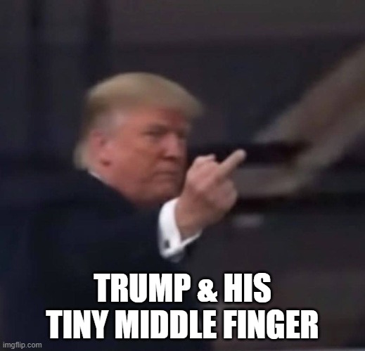 Trump Flipping the Bird | TRUMP & HIS TINY MIDDLE FINGER | image tagged in trump,middle finger | made w/ Imgflip meme maker