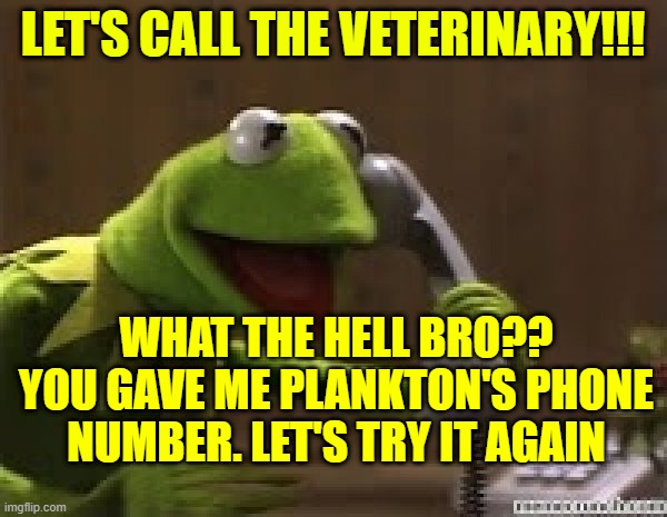 Kermit The Frog At Phone | LET'S CALL THE VETERINARY!!! WHAT THE HELL BRO?? YOU GAVE ME PLANKTON'S PHONE NUMBER. LET'S TRY IT AGAIN | image tagged in kermit the frog at phone | made w/ Imgflip meme maker