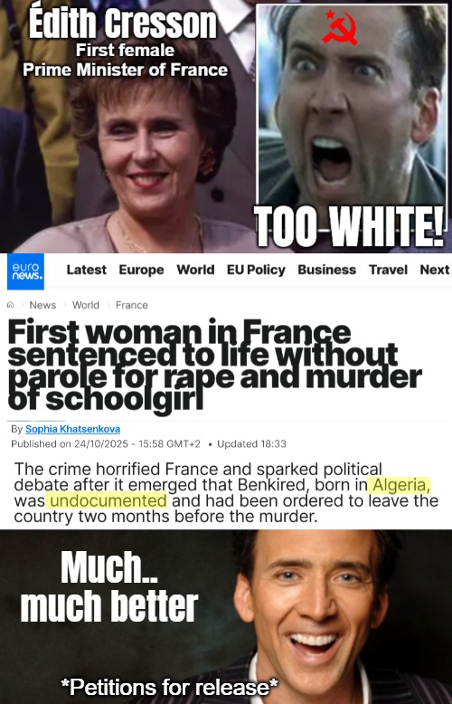 Much.. much better; *Petitions for release* | image tagged in illegal immigrants,good/bad,woke,sarcasm,crime | made w/ Imgflip meme maker