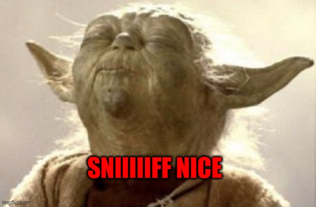 Yoda sniff | SNIIIIIFF NICE | image tagged in yoda sniff | made w/ Imgflip meme maker