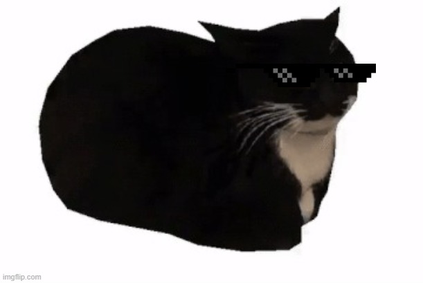 Cat | image tagged in maxwell the cat | made w/ Imgflip meme maker