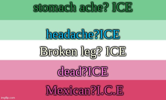 school nurses be like | stomach ache? ICE; headache?ICE; Broken leg? ICE; dead?ICE; Mexican?I.C.E | image tagged in sam's abrosexual flag temp | made w/ Imgflip meme maker