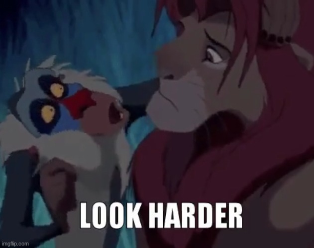 Rafiki look harder | image tagged in rafiki look harder | made w/ Imgflip meme maker