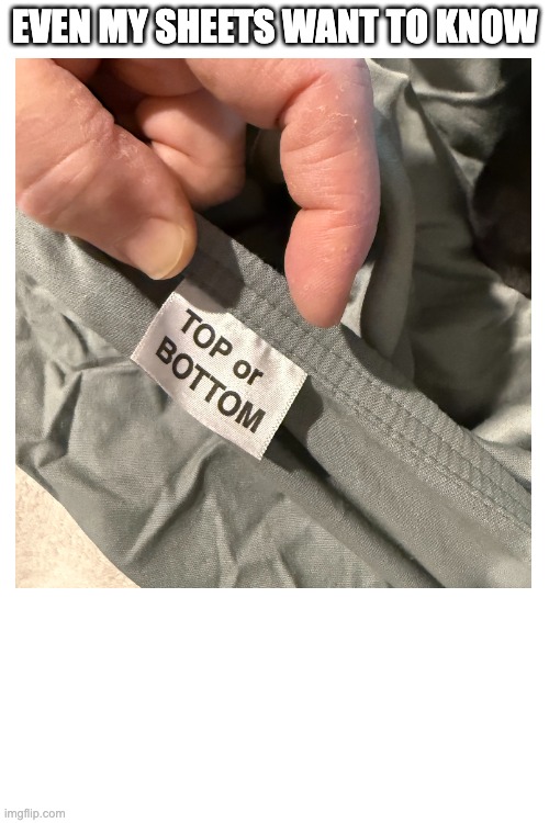 Even my sheets want to know | EVEN MY SHEETS WANT TO KNOW | image tagged in gay,funny,housework | made w/ Imgflip meme maker