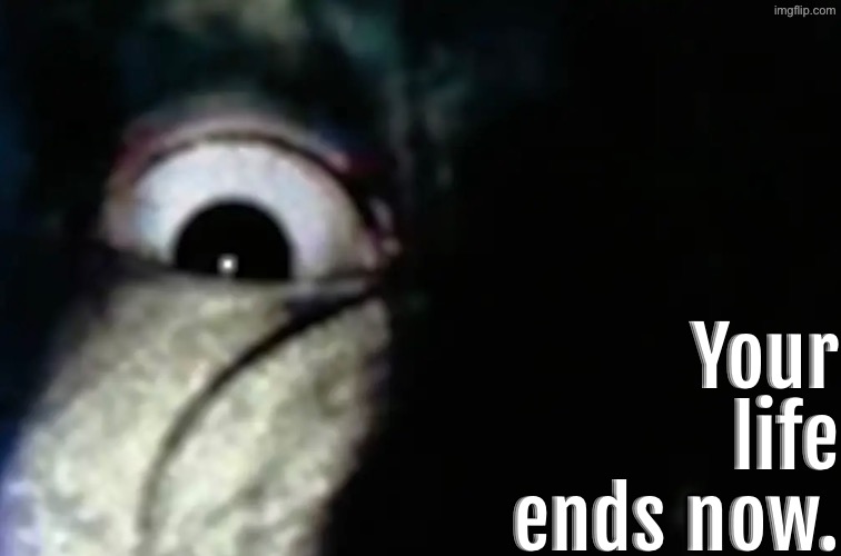 Your Life Ends Now | Your life ends now. | image tagged in cursed images,time to die,so you have chosen death,what a terrible day to have eyes,excuse me wtf,eye | made w/ Imgflip meme maker