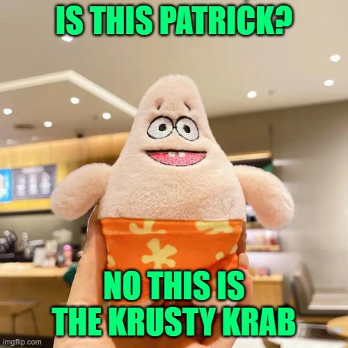 Fake Patrick Plush | IS THIS PATRICK? NO THIS IS THE KRUSTY KRAB | image tagged in fake patrick plush | made w/ Imgflip meme maker