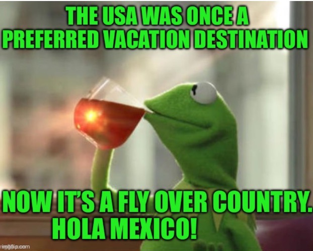 image tagged in kermit the frog | made w/ Imgflip meme maker