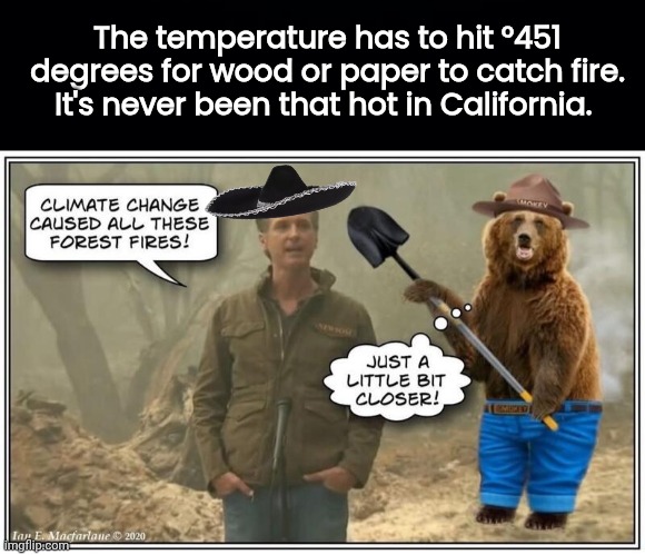 Greasy Gavin meets Smoky the Bear | The temperature has to hit °451 degrees for wood or paper to catch fire. It's never been that hot in California. | image tagged in grease,gavin,smokey bear | made w/ Imgflip meme maker