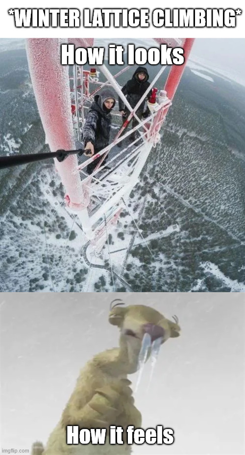 Ice Age Freezing | *WINTER LATTICE CLIMBING*; How it looks; How it feels | image tagged in ice age,memes,sid,lattice climbing,dark humor,climbing memes | made w/ Imgflip meme maker