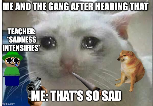 crying cat | ME AND THE GANG AFTER HEARING THAT; TEACHER: *SADNESS INTENSIFIES*; ME: THAT’S SO SAD | image tagged in crying cat | made w/ Imgflip meme maker