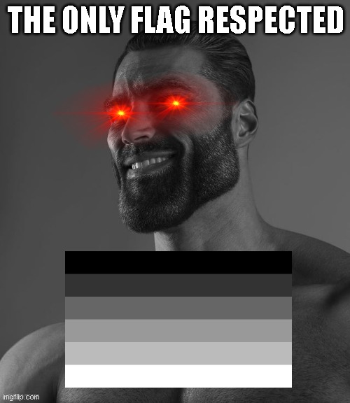 Search Google for what the heterosexual flag is and you will learn its meaning. | THE ONLY FLAG RESPECTED | image tagged in giga chad,ggg,chad,reality,pov,homophobic | made w/ Imgflip meme maker