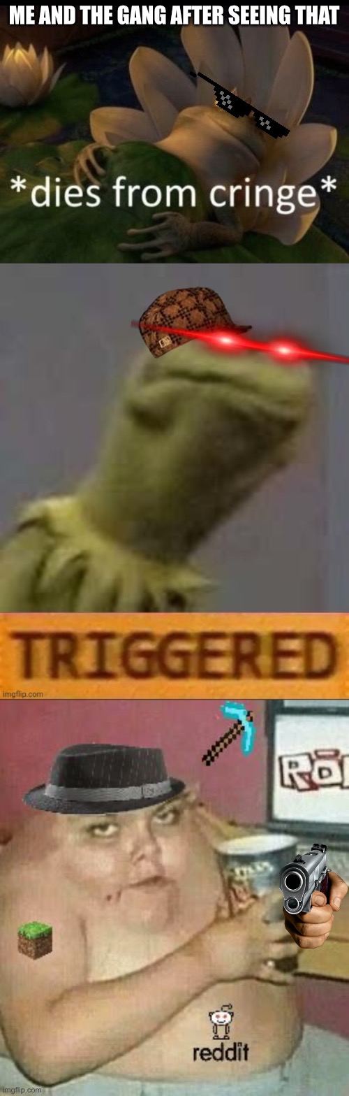 ME AND THE GANG AFTER SEEING THAT | image tagged in dies from cringe,kermit triggered,cringe weaboo fat deformed guy and an roblox player and a minecr | made w/ Imgflip meme maker