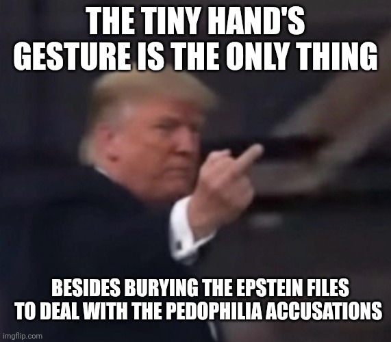 Klassy | THE TINY HAND'S GESTURE IS THE ONLY THING; BESIDES BURYING THE EPSTEIN FILES TO DEAL WITH THE PEDOPHILIA ACCUSATIONS | image tagged in donald trump flips the bird,pedophiles,jeffrey epstein,donald trump,epstein files | made w/ Imgflip meme maker