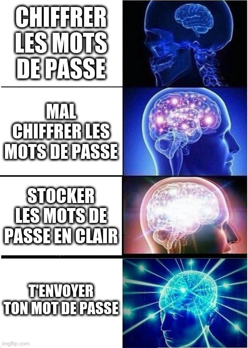 Expanding Brain Meme | CHIFFRER LES MOTS DE PASSE; MAL CHIFFRER LES MOTS DE PASSE; STOCKER LES MOTS DE PASSE EN CLAIR; T'ENVOYER TON MOT DE PASSE | image tagged in memes,expanding brain | made w/ Imgflip meme maker
