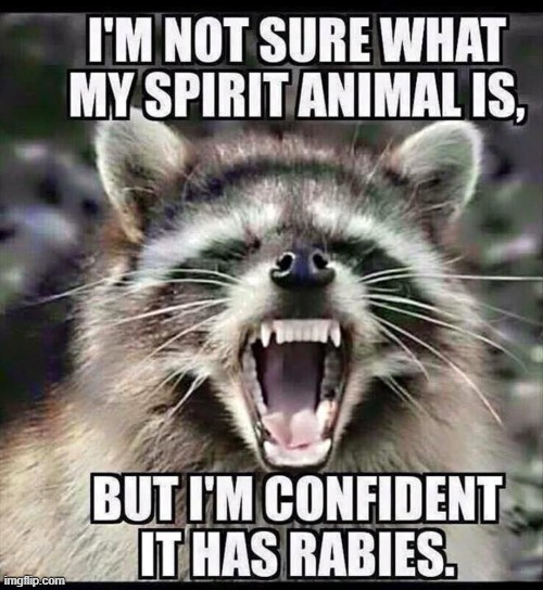 Spirit Animal | image tagged in repost | made w/ Imgflip meme maker
