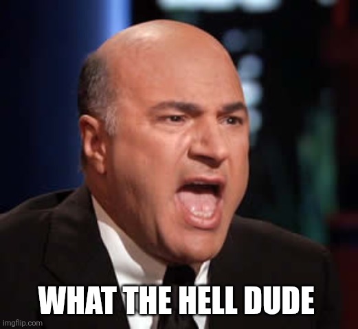 patent shark tank | WHAT THE HELL DUDE | image tagged in patent shark tank | made w/ Imgflip meme maker