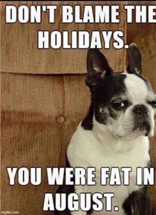 You're Fat.... | image tagged in repost | made w/ Imgflip meme maker