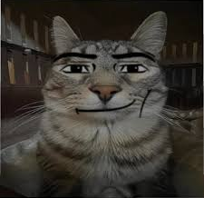 man face cat Blank Meme Template