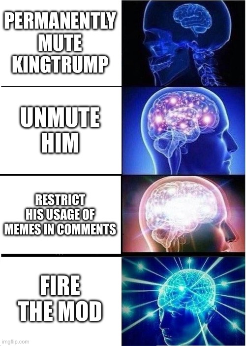 Just stop bro | PERMANENTLY MUTE KINGTRUMP; UNMUTE HIM; RESTRICT HIS USAGE OF MEMES IN COMMENTS; FIRE THE MOD | image tagged in memes,expanding brain | made w/ Imgflip meme maker