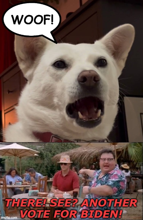 WOOF! THERE! SEE? ANOTHER
VOTE FOR BIDEN! | image tagged in surprised woof,memes,see nobody cares | made w/ Imgflip meme maker
