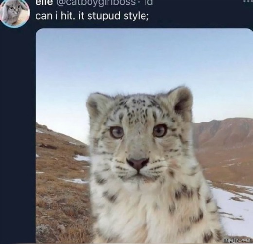 made w/ Imgflip meme maker