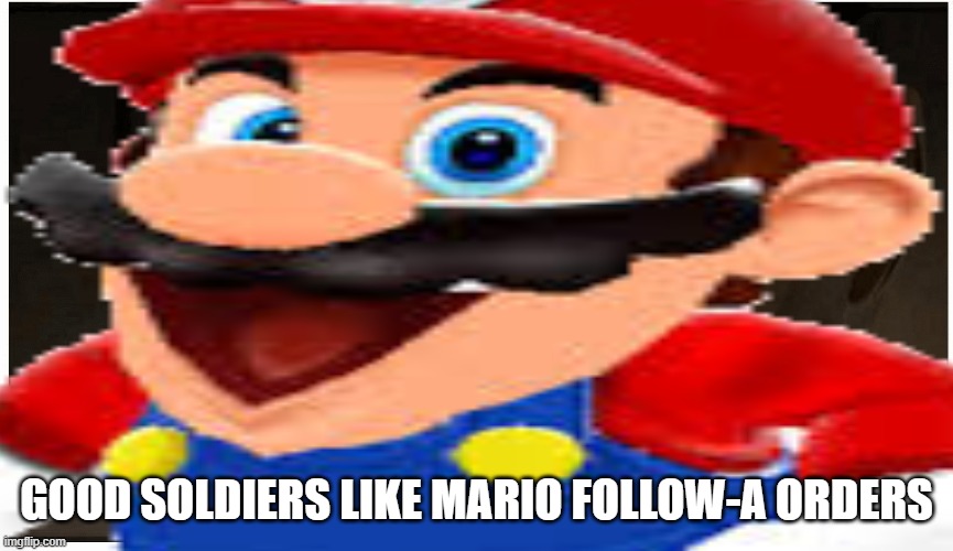 GOOD SOLDIERS LIKE MARIO FOLLOW-A ORDERS | made w/ Imgflip meme maker