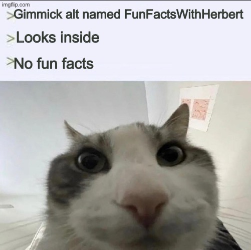 Cat looks inside | Gimmick alt named FunFactsWithHerbert Looks inside No fun facts | image tagged in cat looks inside | made w/ Imgflip meme maker