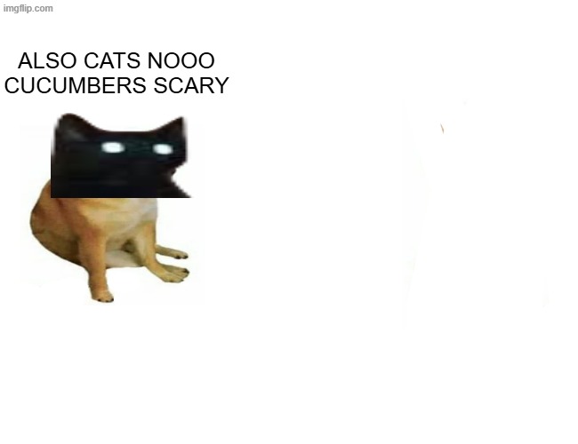 Buff Doge vs. Cheems Meme | ALSO CATS NOOO CUCUMBERS SCARY | image tagged in memes,buff doge vs cheems | made w/ Imgflip meme maker