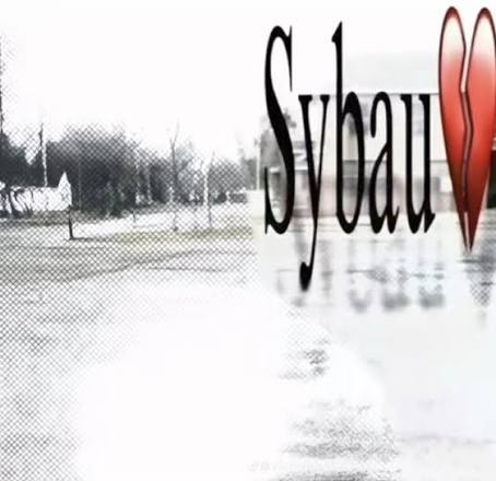 Sybau background Blank Meme Template