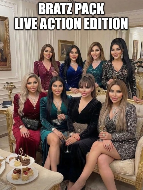 Um, Uh, Er, Ah, Like, You Know, Well, So, Basically, Actually, | BRATZ PACK
LIVE ACTION EDITION | image tagged in brat,live action,dolls | made w/ Imgflip meme maker