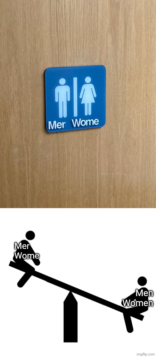 Mer Wome | Mer Wome; Men Women | image tagged in seesaw mood swings,men,women,memes,you had one job,restroom | made w/ Imgflip meme maker