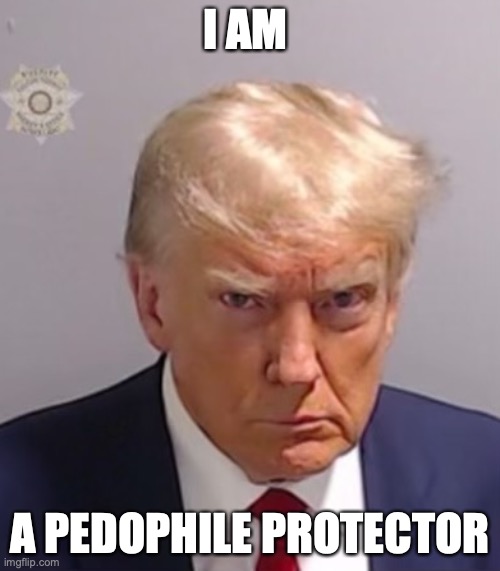 Trump Pedo Protector | I AM; A PEDOPHILE PROTECTOR | image tagged in donald trump mugshot,pedophiles,epstein,republicans,maga,right wing | made w/ Imgflip meme maker