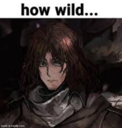 how wild... | image tagged in how wild | made w/ Imgflip meme maker